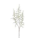 Branche d'Asparagus acutifolius artificielle JOCHEN, vert, 70cm