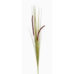 Herbe décorative JILL, piquet, panicules, vert-violet, 90cm
