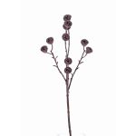 Branche d'eucalyptus décorative BASILIUS avec fruits, marron, 60cm