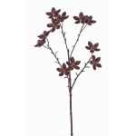 Branche d'anis étoilé en plastique DELANO avec fruits, marron, 60cm