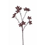 Branche d'anis étoilé en plastique DELANO avec fruits, marron, 60cm