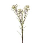 Fleur de cire artificielle MEDEA, crème, 80cm