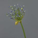 Allium ornemental artificiel KATYNA, bleu, 70cm