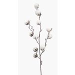 Branche de coton décorative CASAS, en fleurs, vert, 85cm