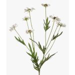 Fleur textile Pâquerette LASAI, crème, 75cm