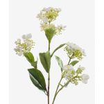 Hortensia décoratif ALAZNE, crème, 75cm
