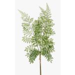Branche artificielle de Fougère bouclier HALIMA, vert, 60cm