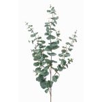 Branche décorative d'Eucalyptus CALLIOPE, vert-gris, 115cm