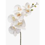 Tige d'orchidée artificielle NEITH, blanc, 75cm, Ø7-10,5cm