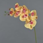 Tige d'orchidée artificielle NEITH, orange-rose, 85cm