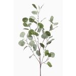Branche d'eucalyptus décorative COLTON, vert-gris, 85cm