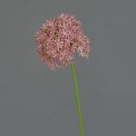 Fausse fleur Allium ARNAU, fuchsia, 60cm
