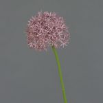 Fausse fleur Allium ARNAU, violet, 60cm