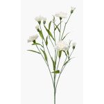 Fleur artificielle œillet KANO, crème, 70cm