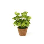 Plante artificielle trèfle NICCOLO dans un pot décoratif, vert, 25cm