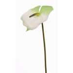 Fleur de flamant rose artificielle MOIRA, blanc-vert, 75cm, 13x18cm