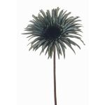 Gerbera synthétique SIEDA, bleu-vert, 65cm, Ø12cm