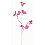 Branche de fleurs artificielles Lathyrus ASFALOTH, fuchsia, 65cm, Ø3-5cm