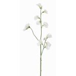 Branche de fleurs artificielles Lathyrus ASFALOTH, blanche, 65cm, Ø3-5cm