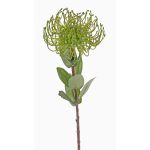 Coussin à épingles artificiel Protea BAILY, vert, 55 cm, Ø 10 cm
