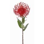 Coussin à épingles artificiel Protea BAILY, rouge, 55cm, Ø10cm