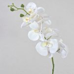 Branche d'orchidée Phalaenopsis artificielle OPHELIA, blanche, 80cm, Ø8-9cm