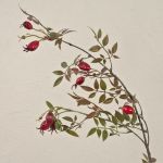 Fausse branche d'églantier WARDALIA avec des cynorrhodons, rouge, 95cm