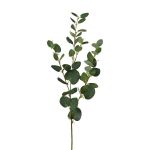 Branche artificielle Eucalyptus JINVAL, vert, 80cm