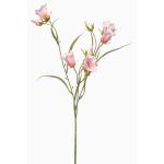 Branche de campanule décorative EMMELY, rose clair, 65cm, Ø5cm