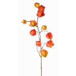 Branche de physalis artificielle PERSEI avec fruits, orange, 80cm