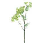 Branche artificielle Carotte sauvage FLAWA, vert clair, 65cm