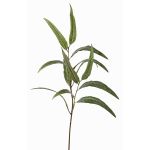 Branche d'eucalyptus artificielle SEMA, verte, 70cm