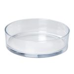 Coupe à fruits VERA OCEAN en verre, transparent, 8cm, Ø29cm