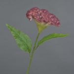 Blume künstlich Hahnenkamm ANUBIS, pink, 60cm, Ø14cm