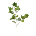 Künstlicher Ficus religiosa Zweig ASCELLA mit Früchten, grün, 95cm