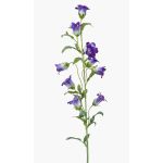 Deko Kunstblume Glockenblume AIMI, dunkellila-weiß, 90cm, Ø3-5cm