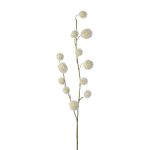 Branche décorative Gomphocarpus physocarpus YANIKA, fruits, blanc, 105cm