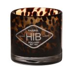 Bougie en cire RENITA dans un verre, orange-brun-transparent, 8cm, Ø8cm