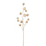Branche décorative Physalis FRILTE avec des fruits, champagne métallique, 90cm