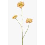 Branche décorative de scabieuse DIHALLY, jaune-pêche, 80cm, Ø8-9cm