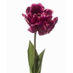 Tulipe perroquet décorative LIOMARA, lilas foncé, 65 cm