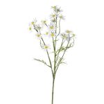 Branche de fleurs artificielles Camomille WISOP, blanc, 75cm