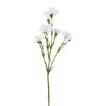 Branche décorative Bleuet FRAVLE, blanc, 60cm