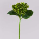 Hortensia synthétique MYNMAR, vert, 35cm, Ø14cm