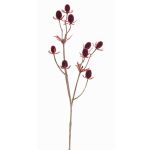 Branche décorative de chardon noble LOUKAS, rouge bordeaux, 45cm, Ø1-1,5cm