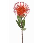 Coussin à épingles artificiel Protea BAILY, orange, 55 cm, Ø 10 cm