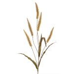 Herbe artificielle « lampenputzer » HIWA, panicules, verte, 135 cm