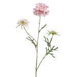 Deko Zweig Scabiosa MARUA, rosa, 80cm
