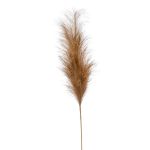 Künstliche Pampasgras Rispe AMATSIA, braun, 115cm