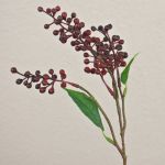 Branche artificielle de sureau TEITH avec baies, rouge bordeaux, 40cm